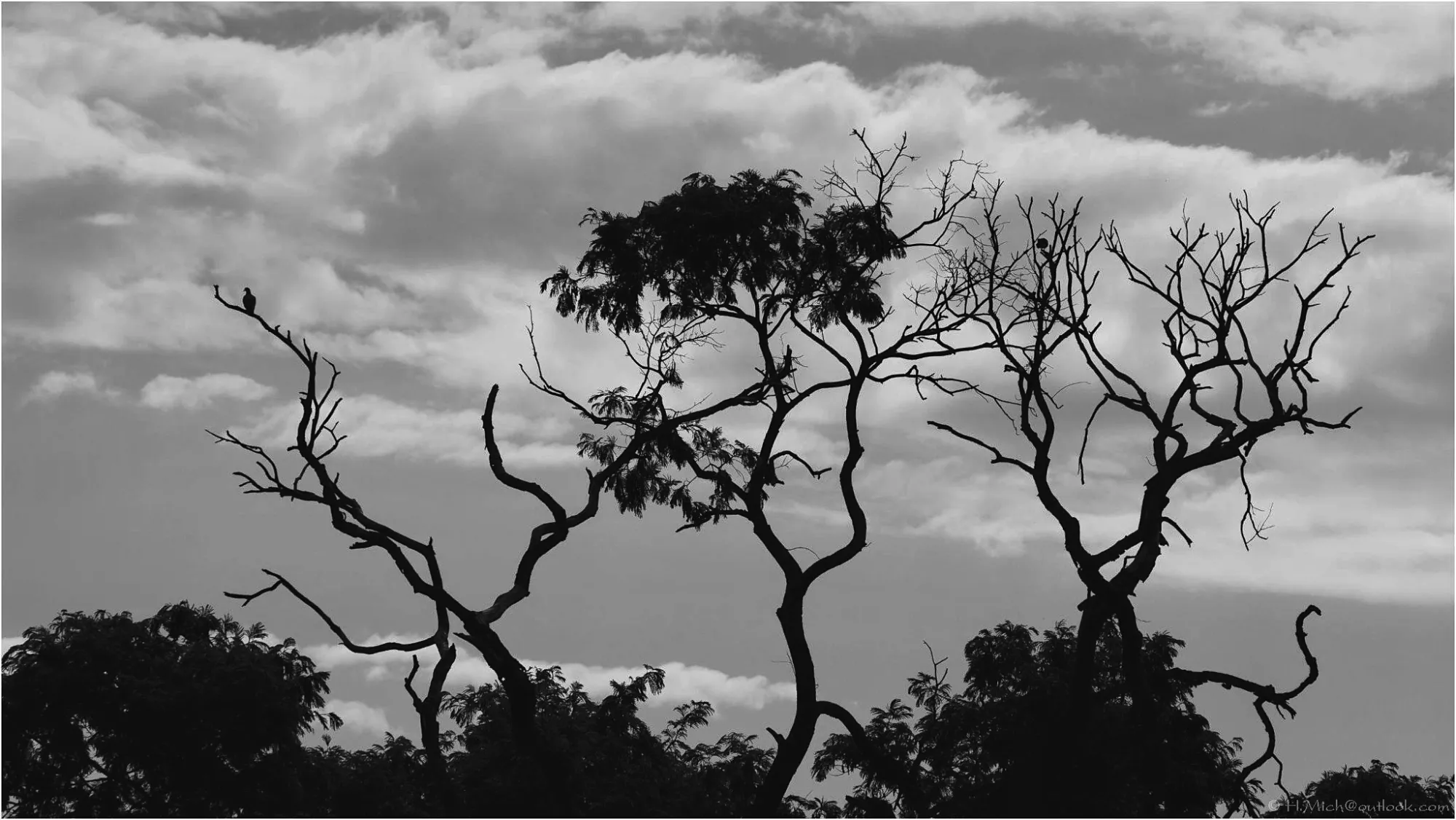 Photo Studio-One Top Model ©h.Mich@outlook.com