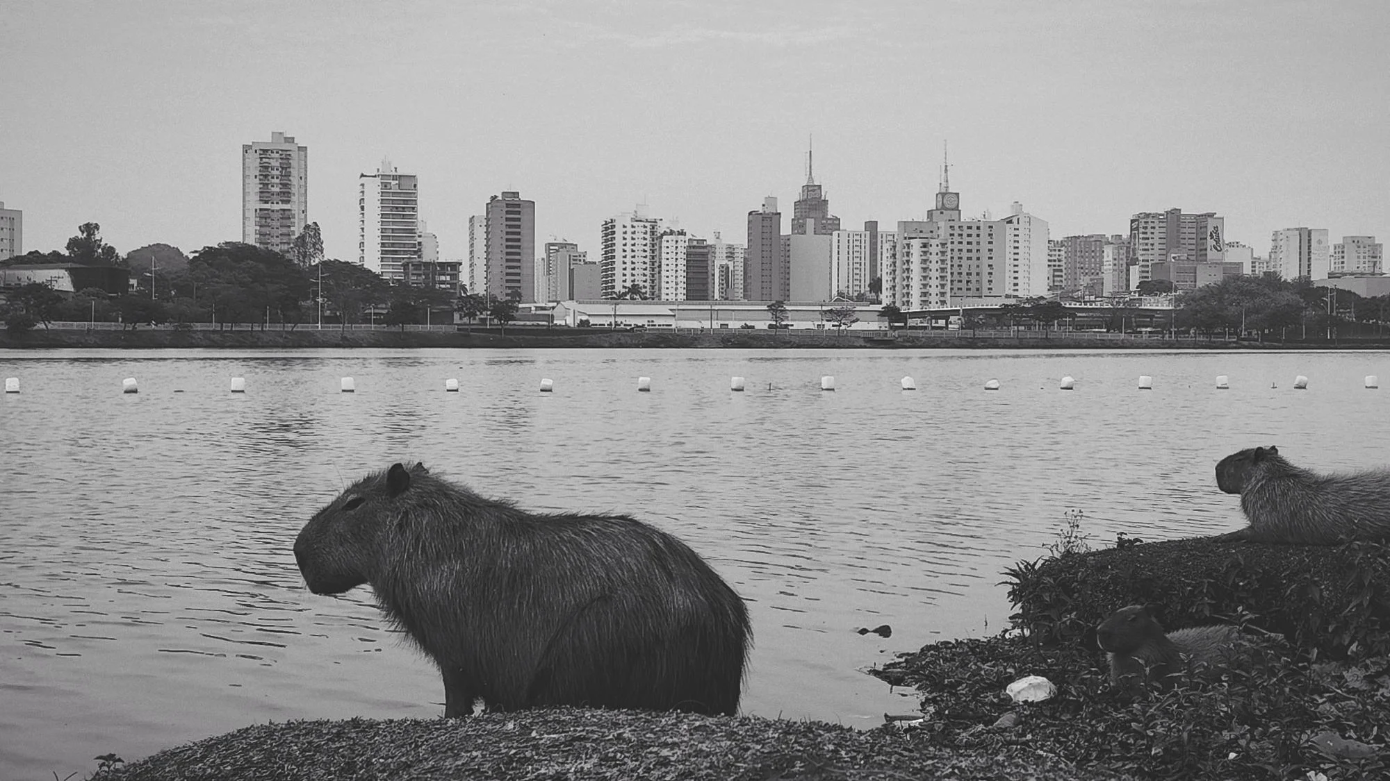 Photo Studio-One Top Model ©h.Mich@outlook.com