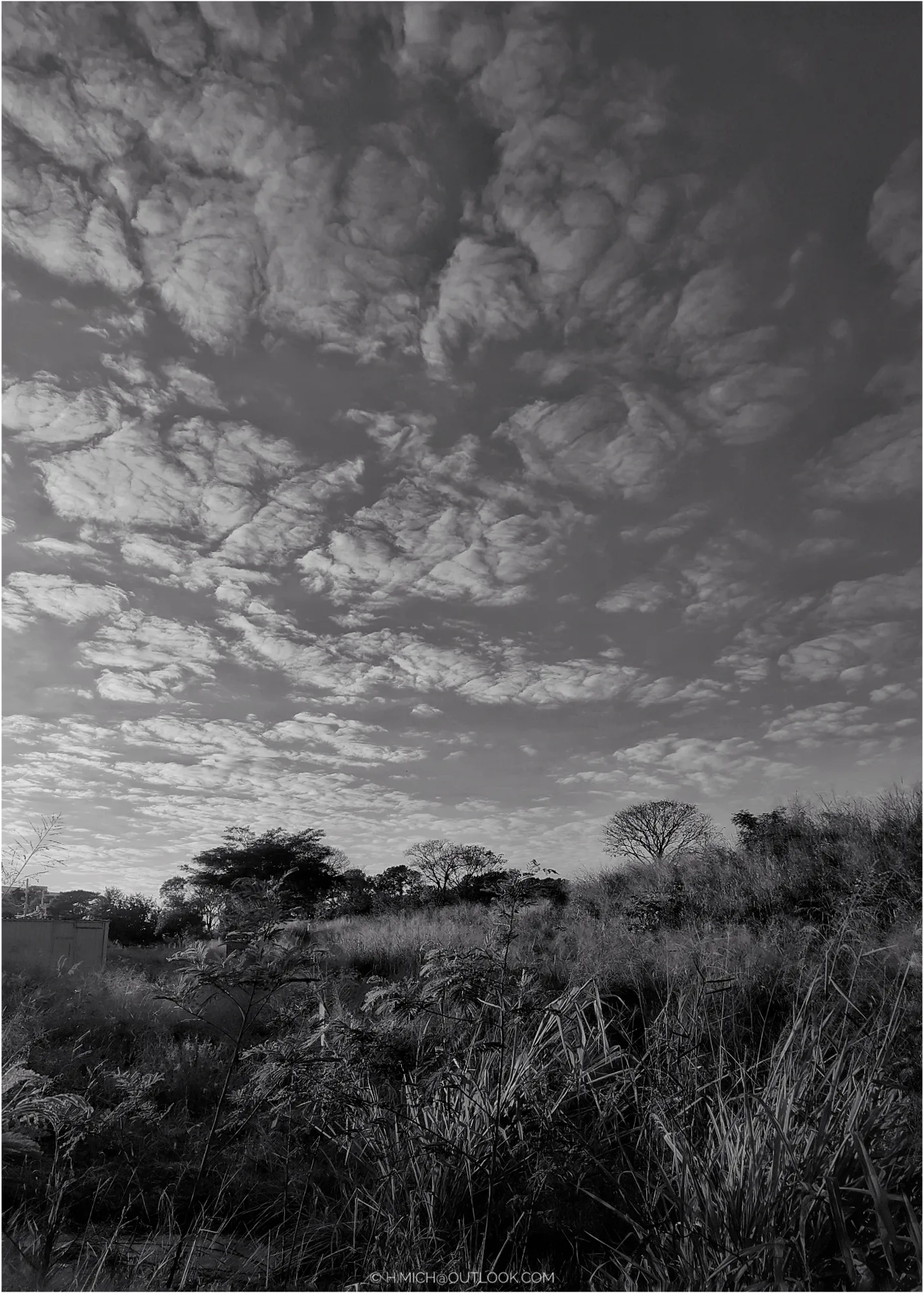 Photo Studio-One Top Model ©h.Mich@outlook.com