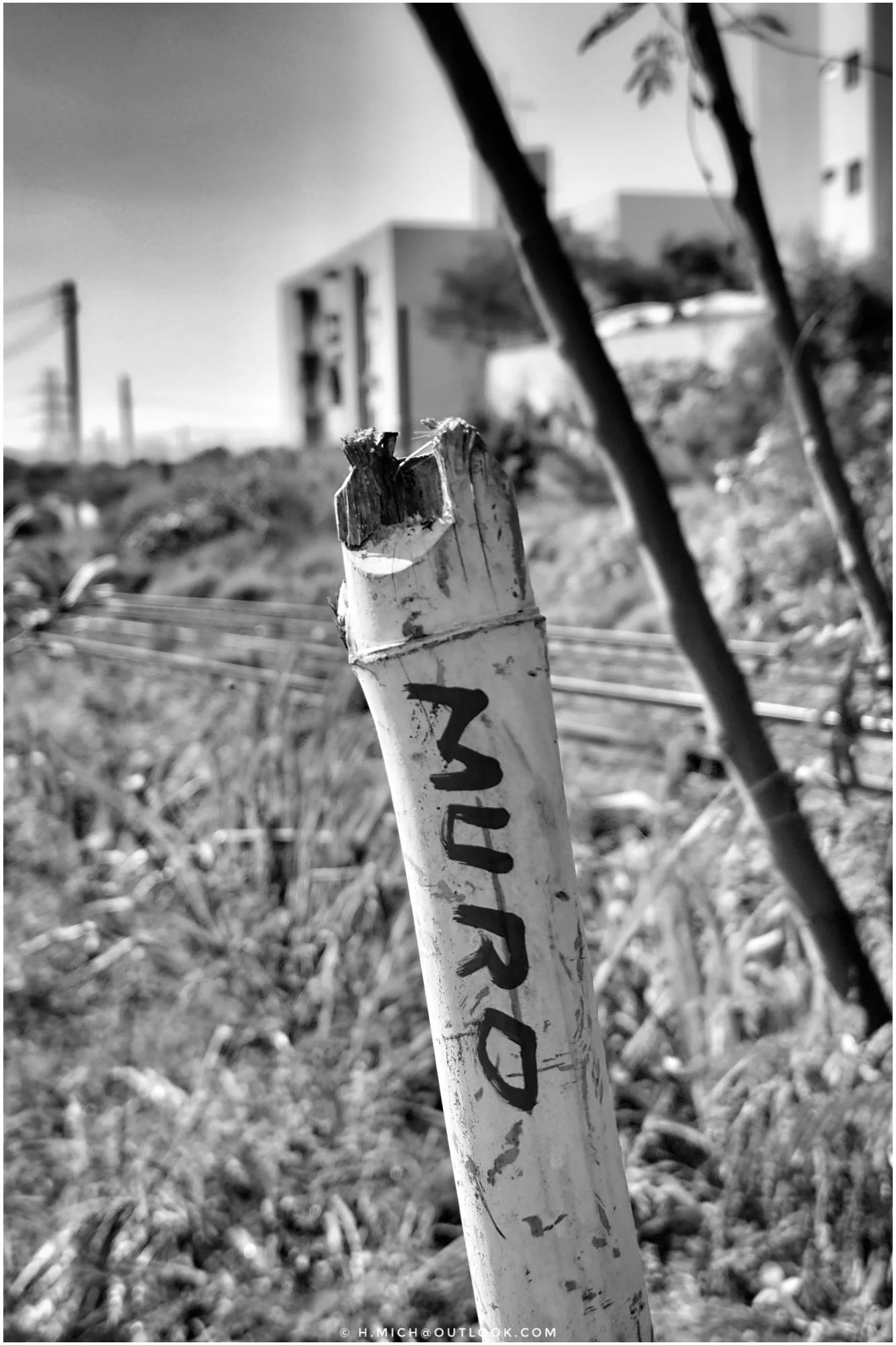 Photo Studio-One Top Model ©h.Mich@outlook.com