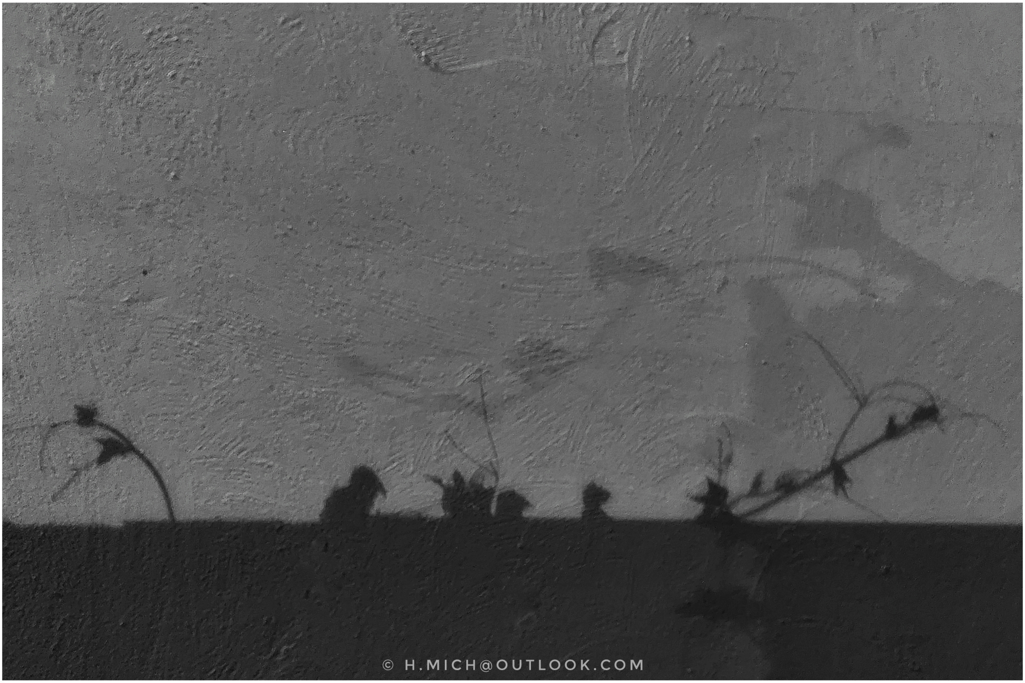 sombras de uma paisagem