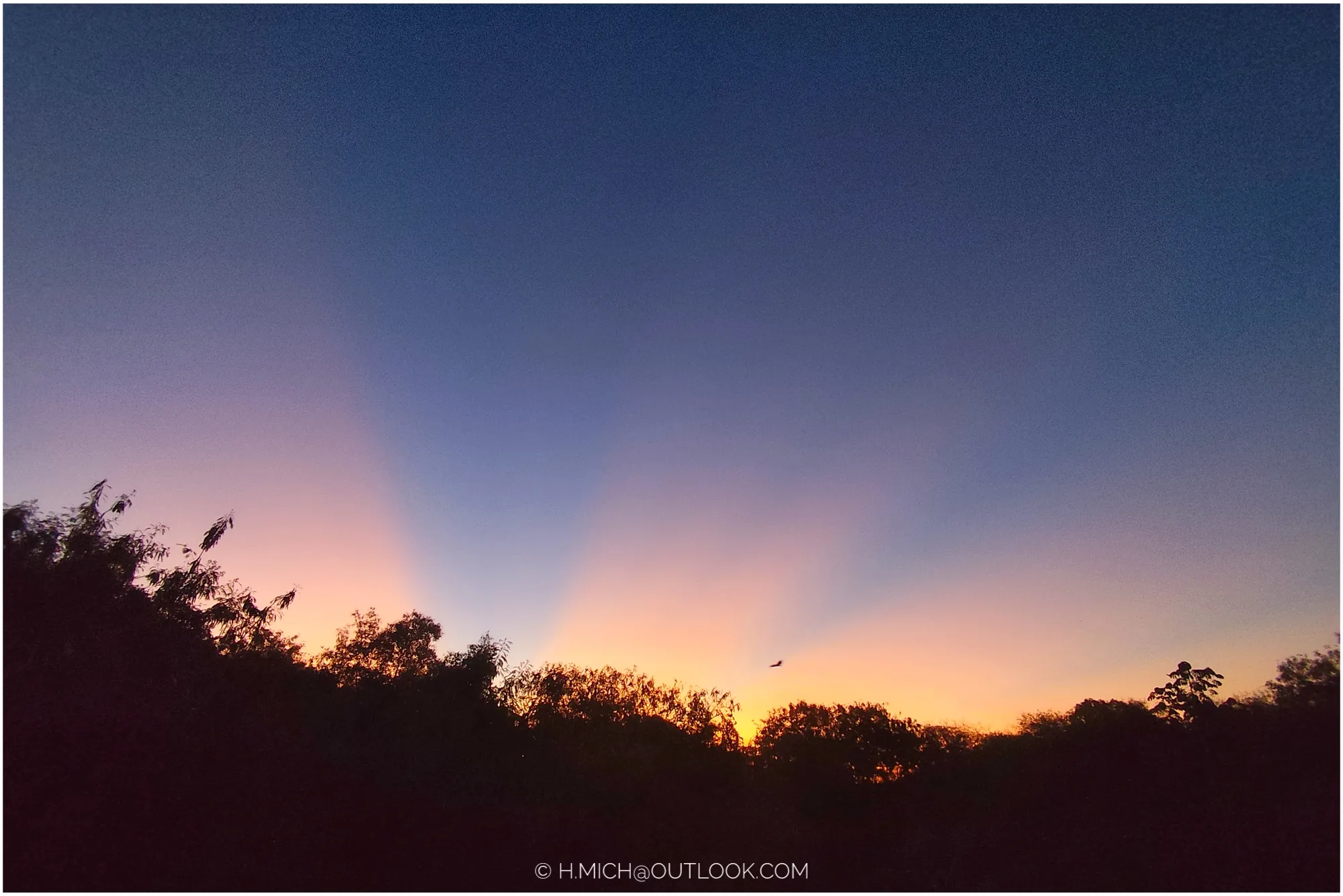 Photo Studio-One Repo (c)h.Mich@outlook.com