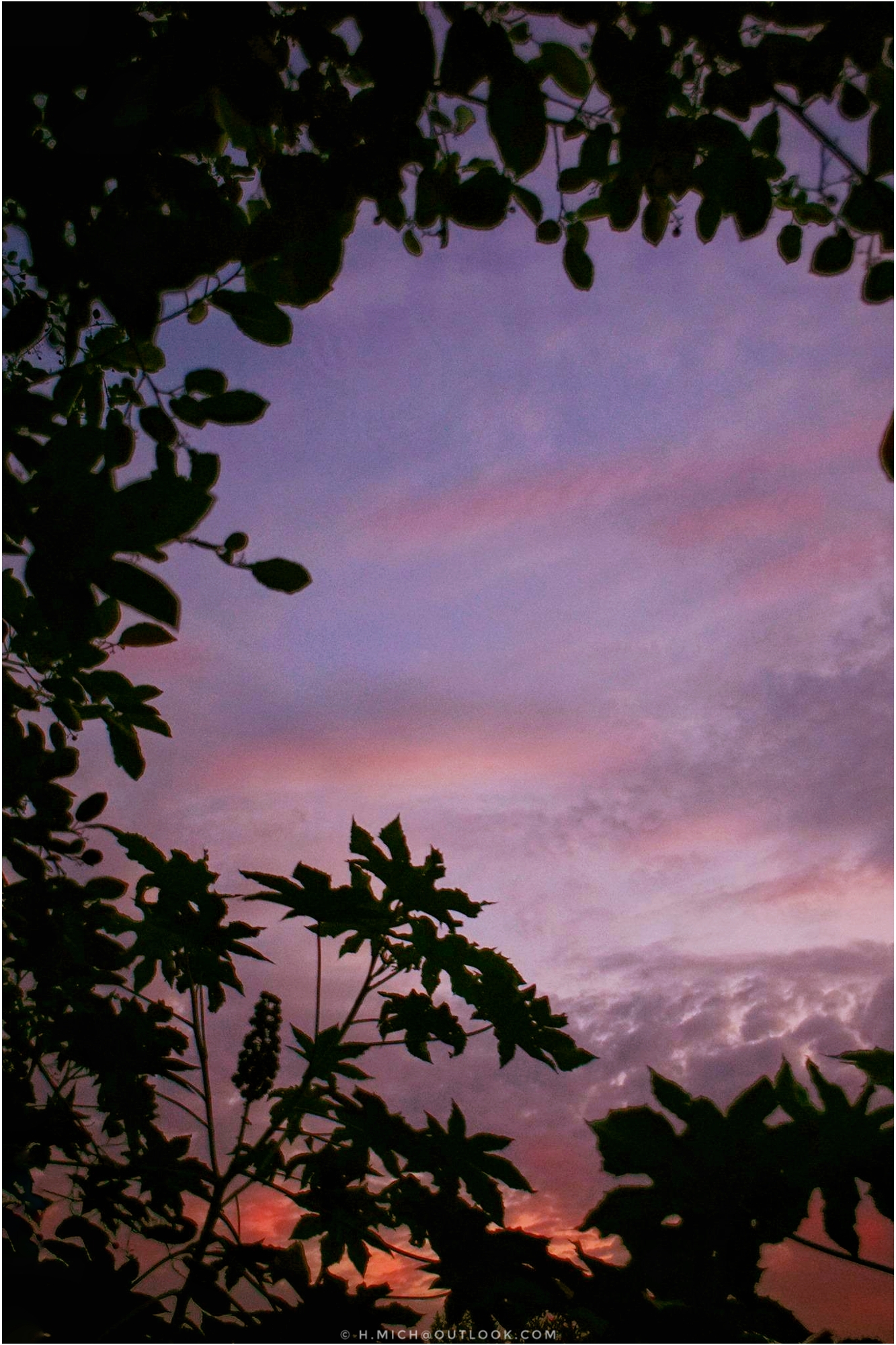 boa sexta noite!