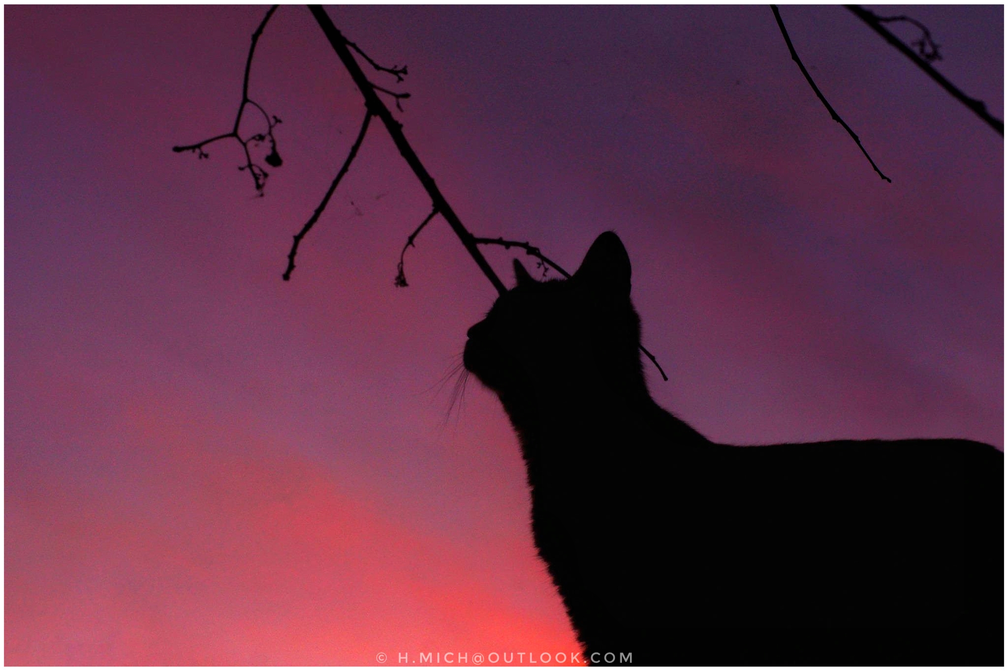 Photo Studio-One Repo (c)h.Mich@outlook.com