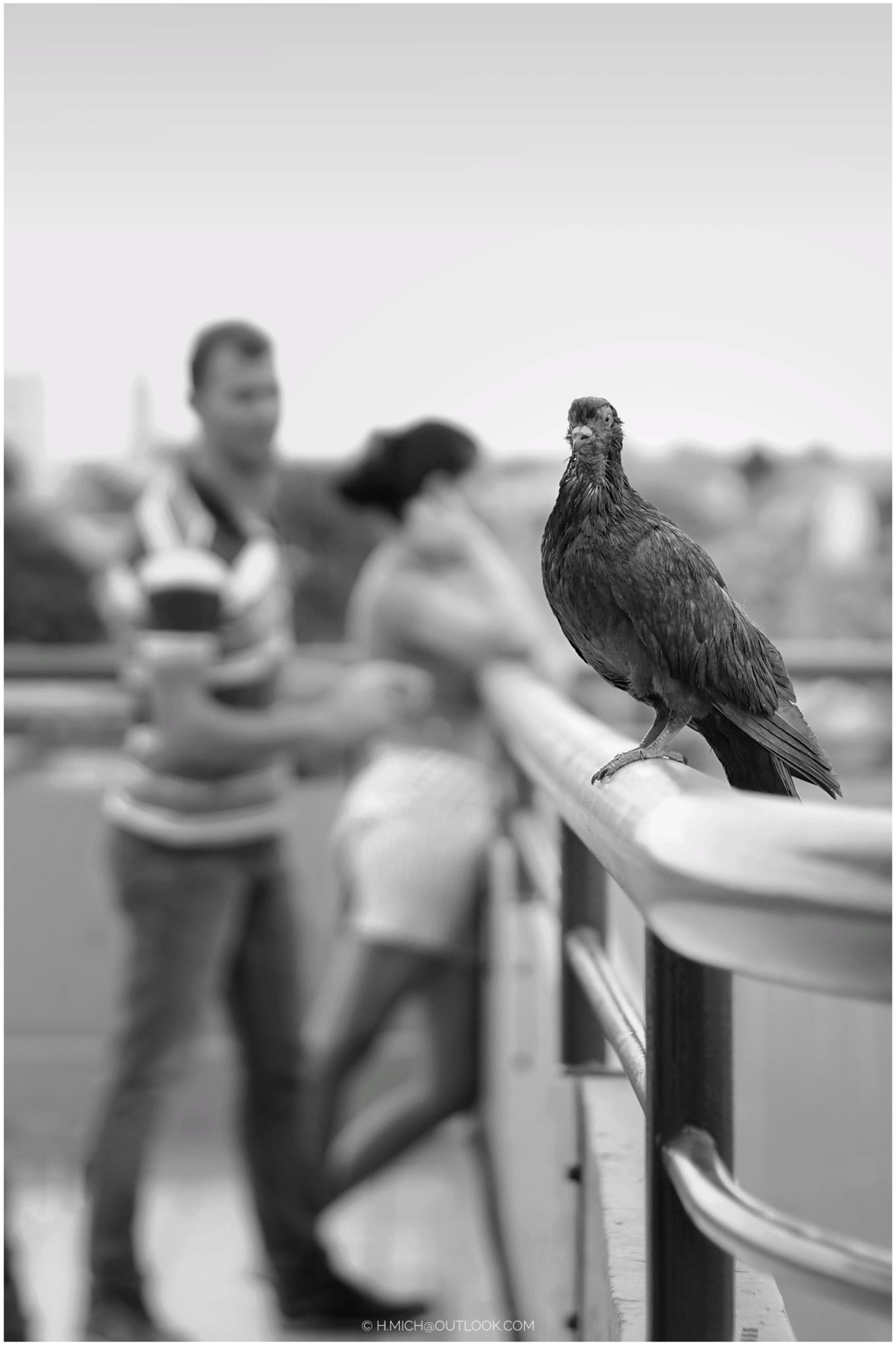 alguém sempre observando