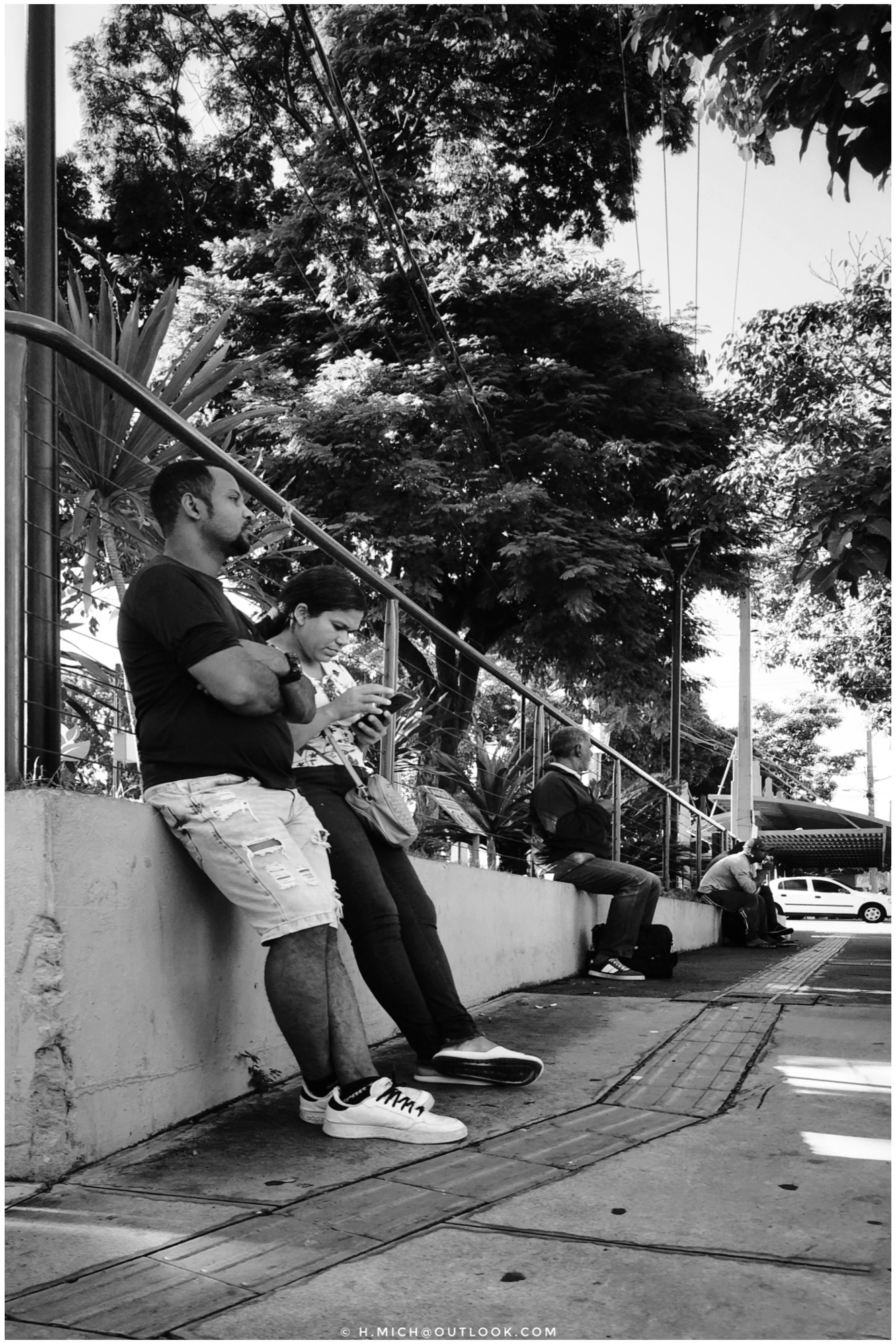 chá de muro …
