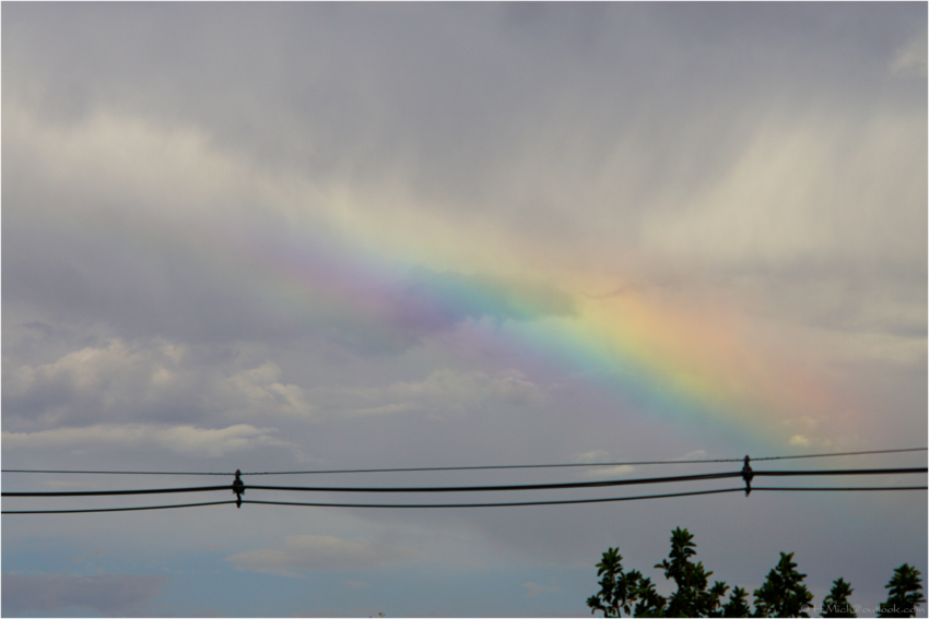 Studio-One.Art.br Repo Fotografia em Rio Preto SP/Brasil