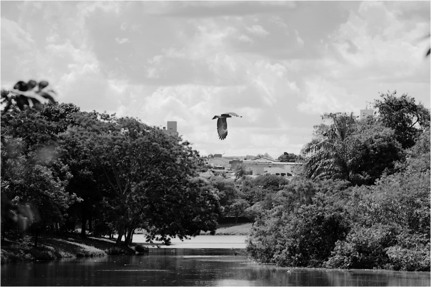 Studio-One.Art.br Repo Fotografia em Rio Preto SP/Brasil