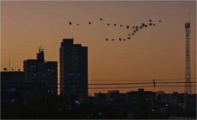 © H.mich@outlook.com