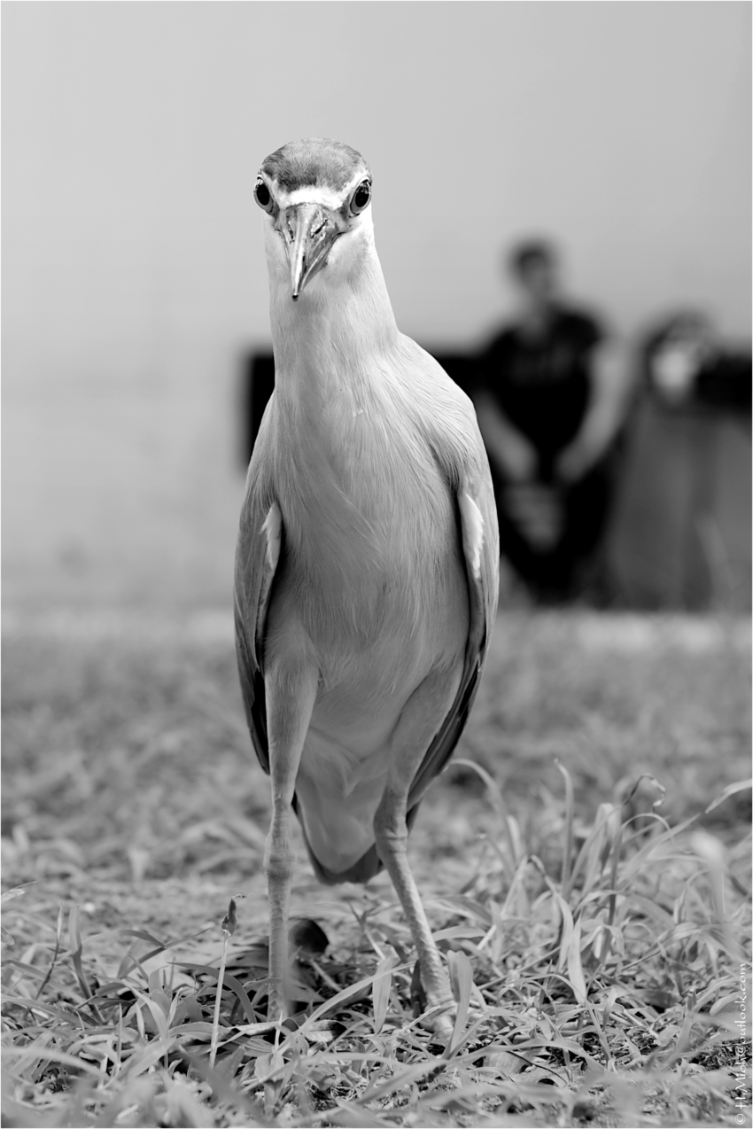 Studio-One.Art.br Repo Fotografia em Rio Preto SP/Brasil