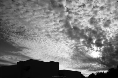 © H.mich@outlook.com