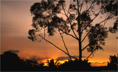 © H.mich@outlook.com