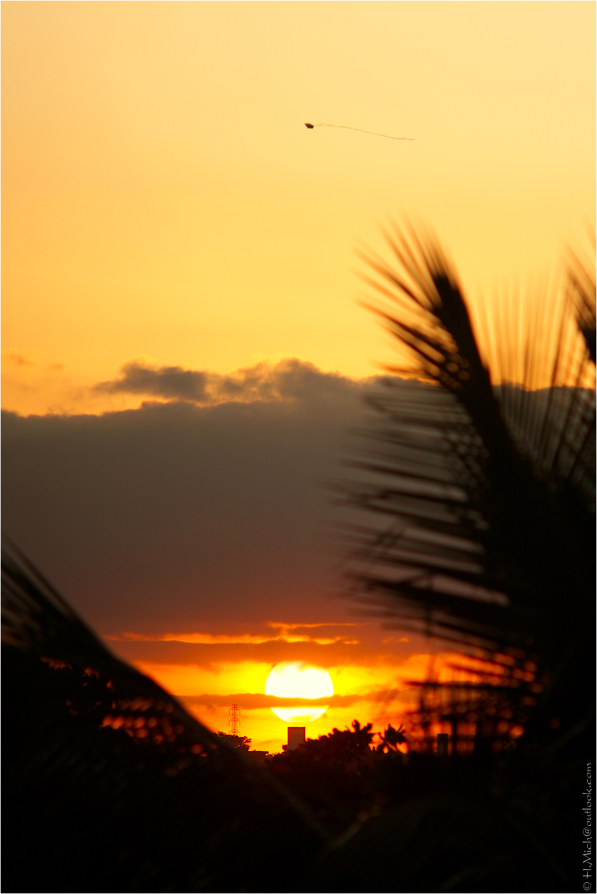 Studio-One.Art.br Repo Fotografia em Rio Preto SP/Brasil