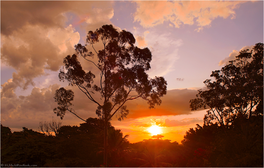 Studio-One.Art.br Repo Fotografia em Rio Preto SP/Brasil