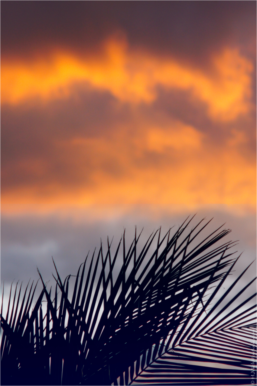 Studio-One.Art.br Repo Fotografia em Rio Preto SP/Brasil