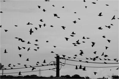 © H.mich@outlook.com