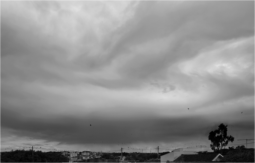 Studio-One.Art.br Repo Fotografia em Rio Preto SP/Brasil