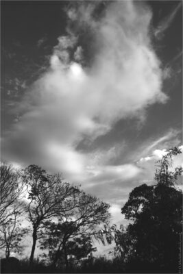 © H.mich@outlook.com