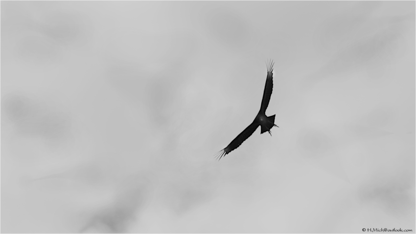 Studio-One.Art.br Repo Fotografia em Rio Preto SP/Brasil