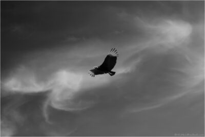© H.mich@outlook.com