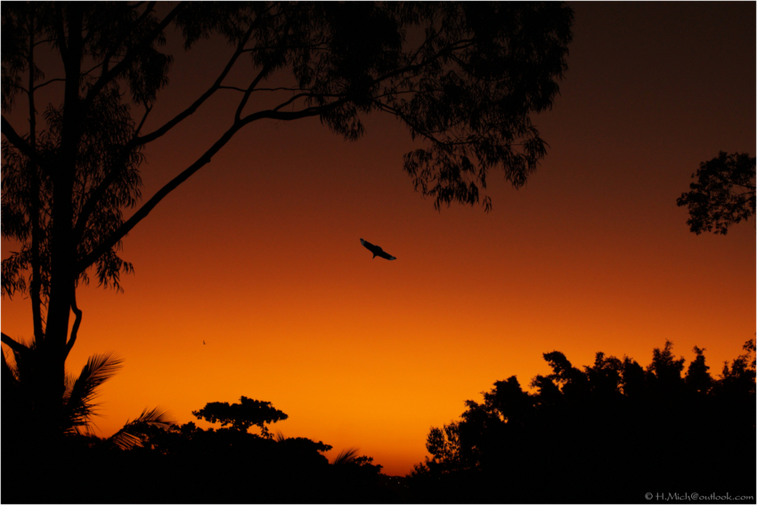 Studio-One.Art.br Repo Fotografia em Rio Preto SP/Brasil