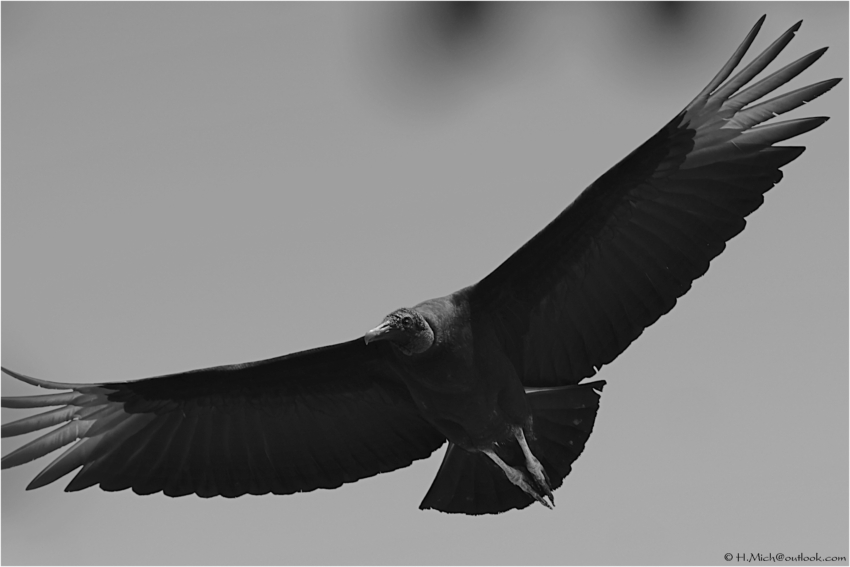 Studio-One.Art.br Repo Fotografia em Rio Preto SP/Brasil