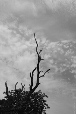 © H.mich@outlook.com