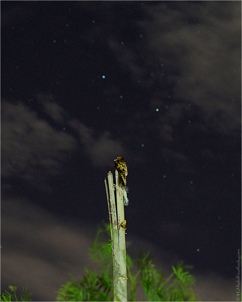 Studio-One.Art.br Repo Fotografia em Rio Preto SP/Brasil