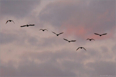 © H.mich@outlook.com