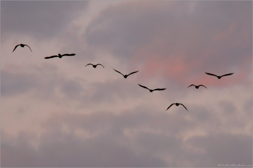 Studio-One.Art.br Repo Fotografia em Rio Preto SP/Brasil